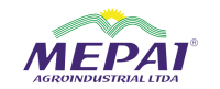 cropped-logo-mepai.png